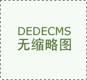 新泰税务：“数转智改”驱动小齿轮“转出”大